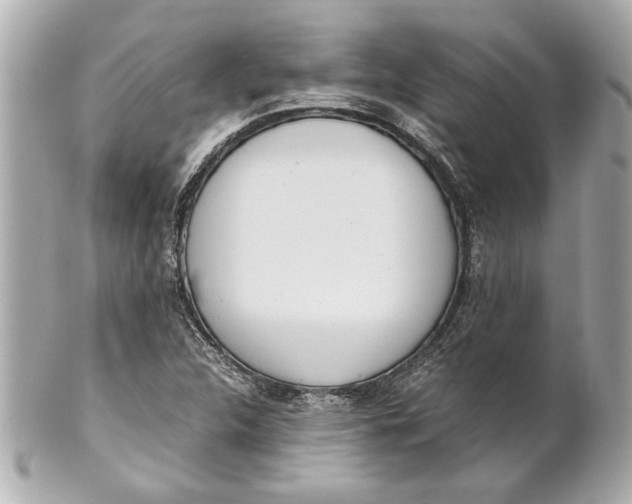 X0000101661312200807311426