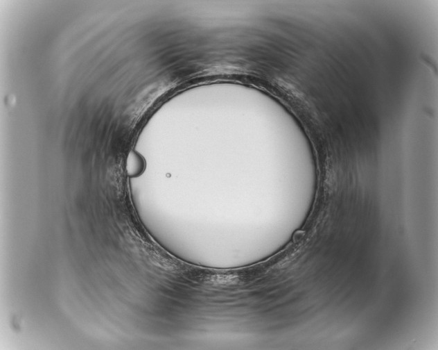 X0000101661313200807311426