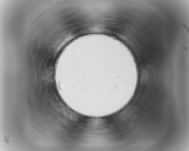 X0000101661314200807311426