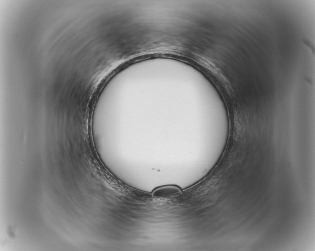 X0000101661316200807311426