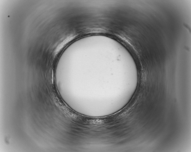 X0000101661317200807311426