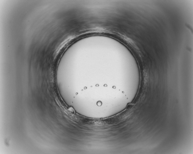 X0000101661318200807311426