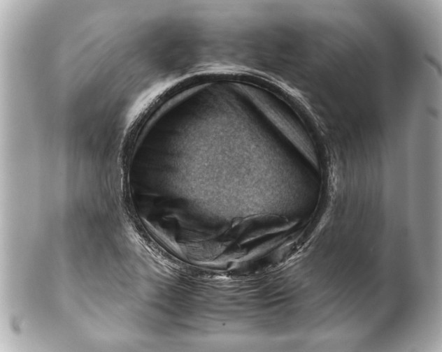 X0000101661319200807311426