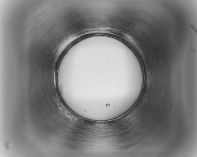 X0000101661320200807311426