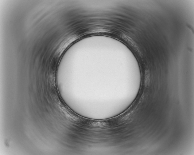 X0000101661321200807311426