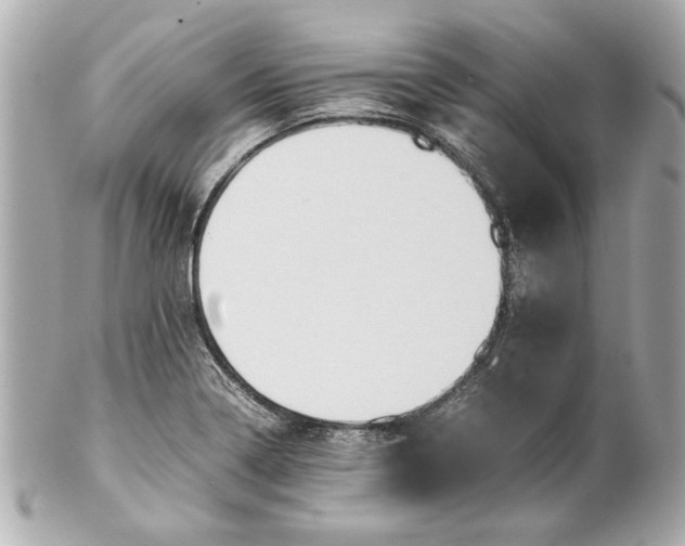 X0000101661322200807311426