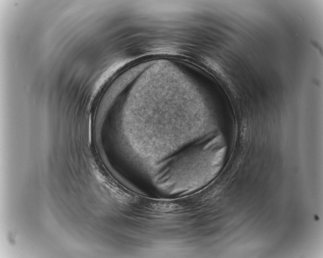 X0000101661323200807311426