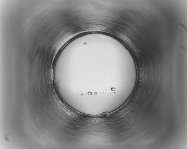 X0000101661324200807311426