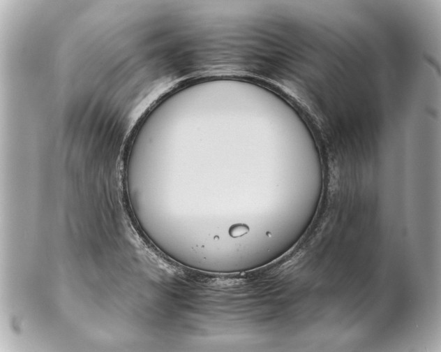 X0000101661325200807311426