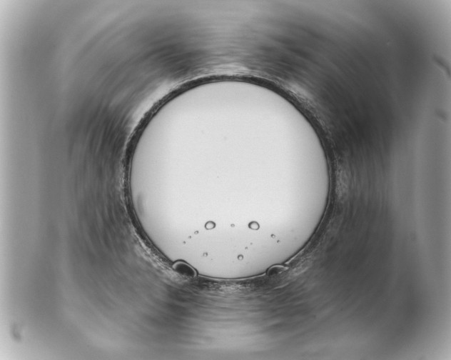 X0000101661326200807311426