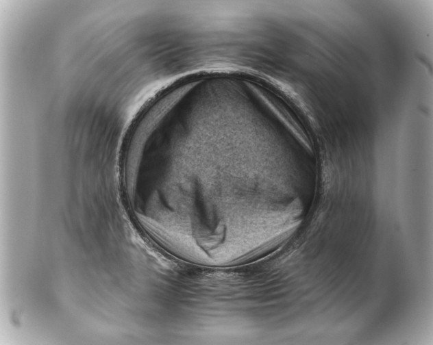 X0000101661327200807311426