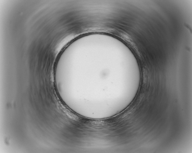 X0000101661328200807311426