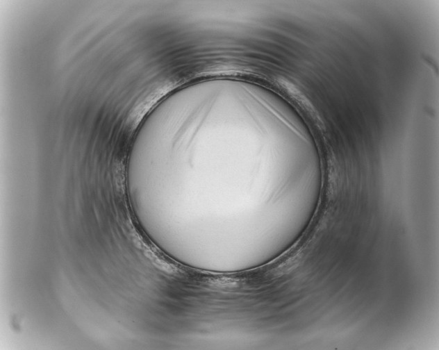 X0000101661329200807311426