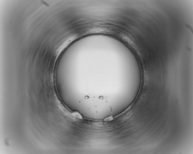 X0000101661330200807311426