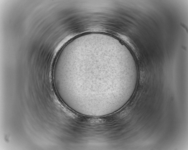 X0000101661331200807311426