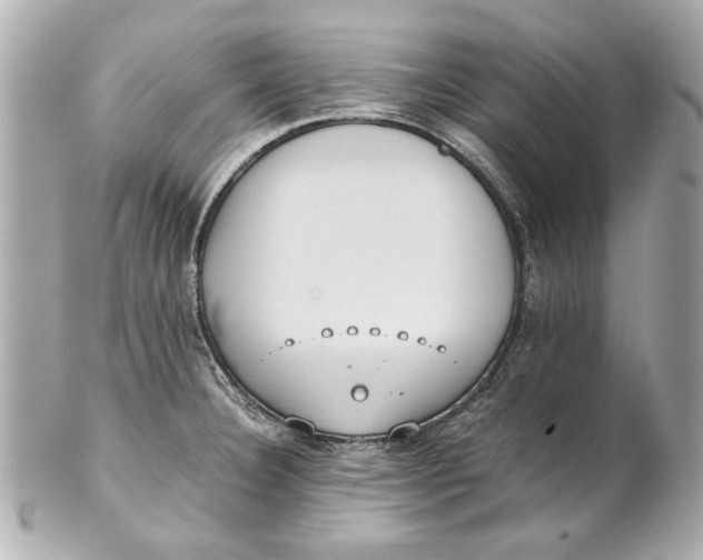 X0000101661332200807311426