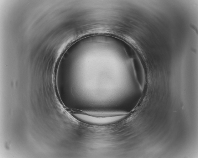 X0000101661334200807311426