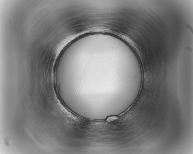 X0000101661335200807311427