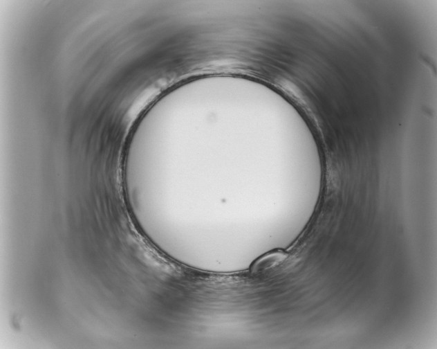 X0000101661336200807311427