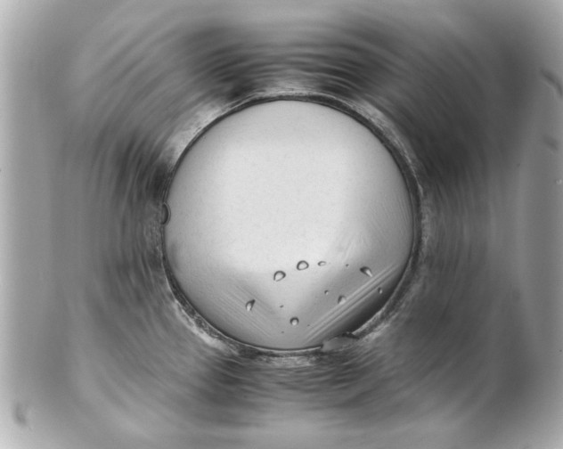 X0000101661337200807311427