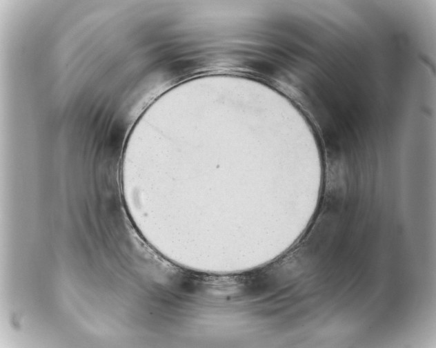 X0000101661338200807311427