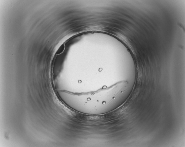 X0000101661339200807311427