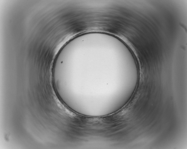 X0000101661341200807311427