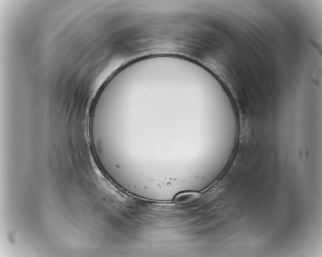 X0000101661342200807311427