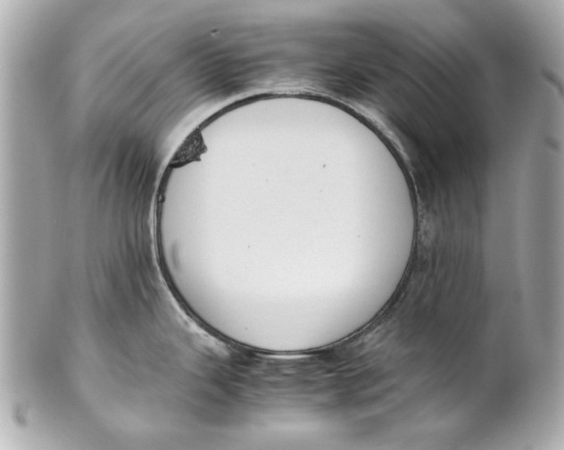 X0000101661343200807311427