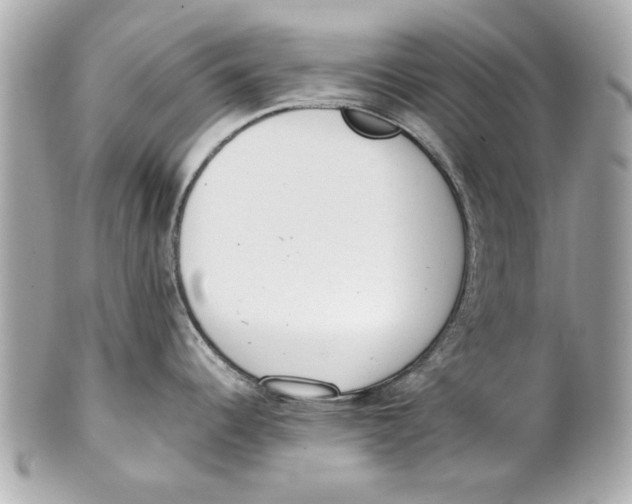 X0000101661344200807311427