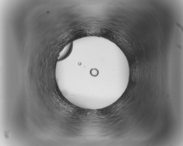 X0000101661345200807311426