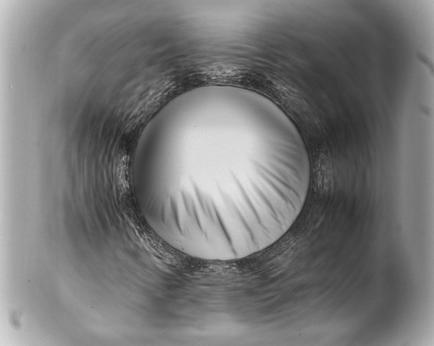 X0000101661346200807311426