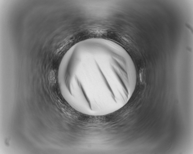 X0000101661347200807311426