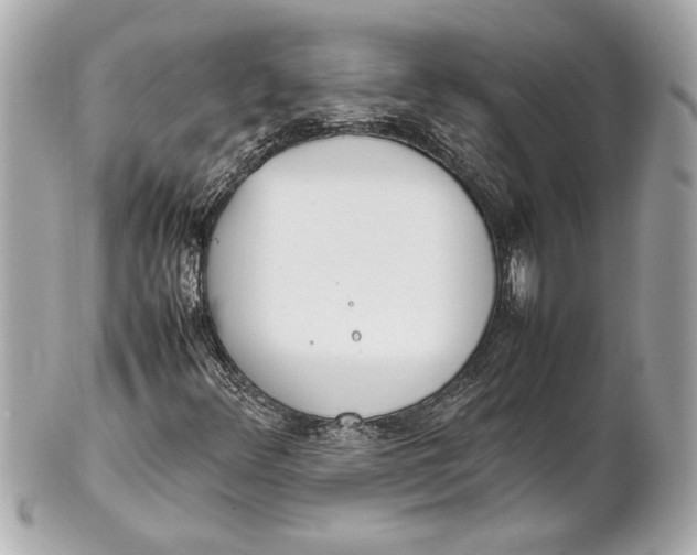 X0000101661348200807311426