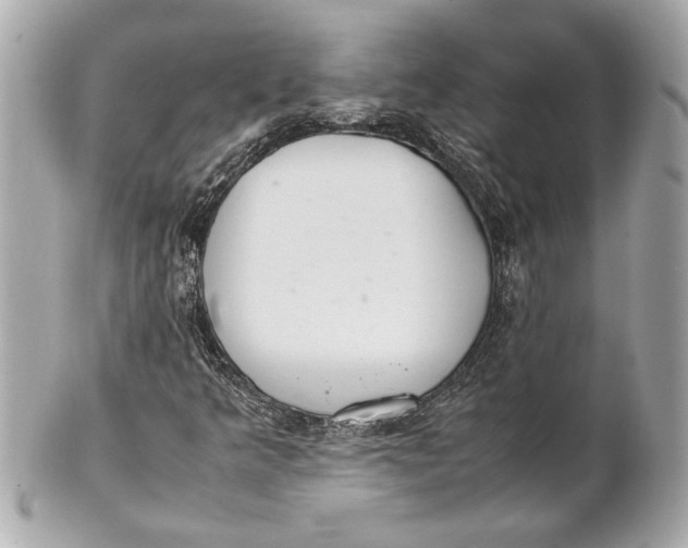 X0000101661349200807311426