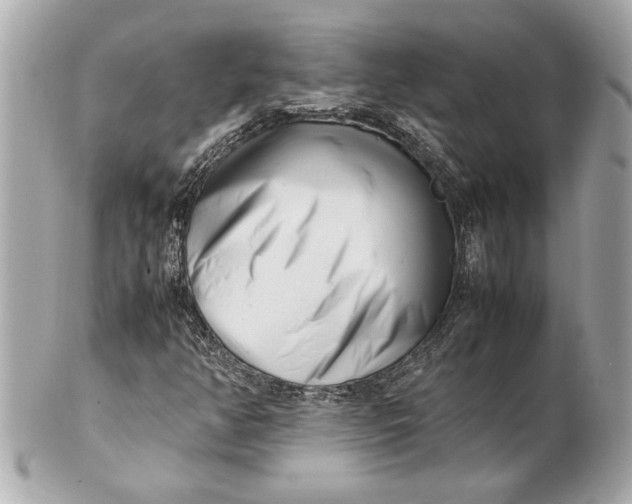 X0000101661350200807311426