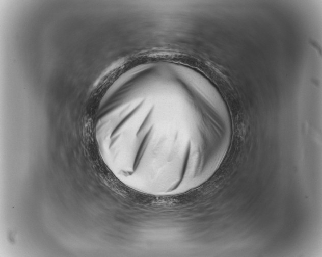 X0000101661351200807311426