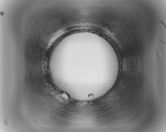 X0000101661352200807311426