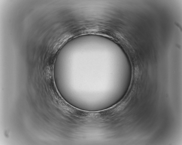 X0000101661353200807311426