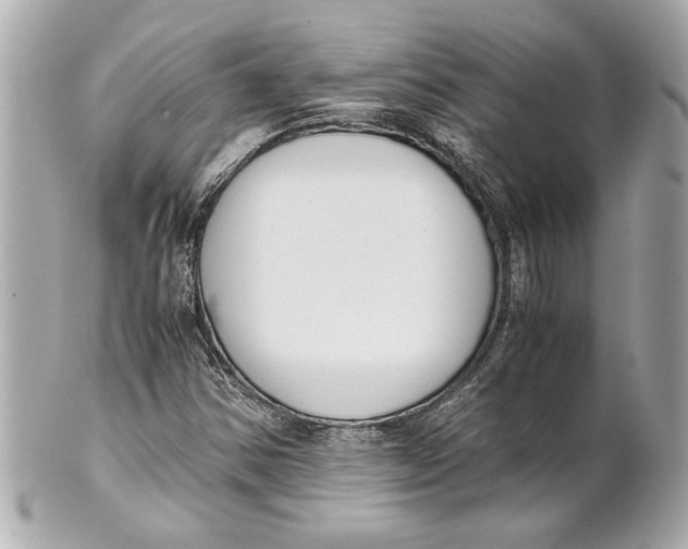 X0000101661354200807311426