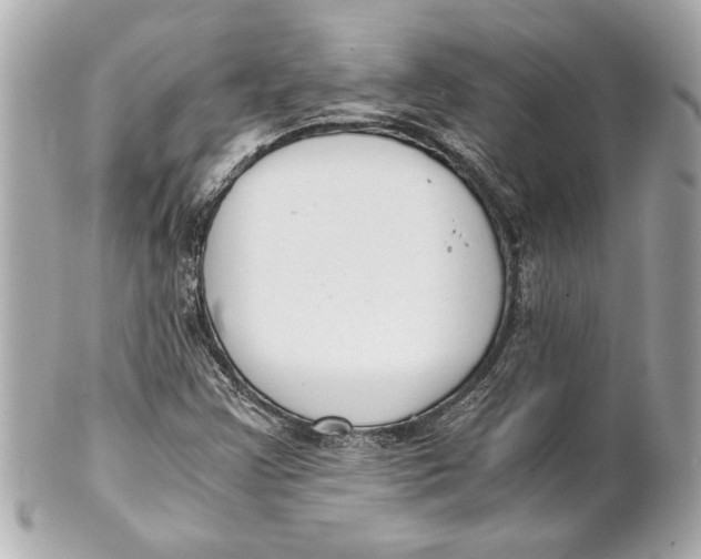 X0000101661355200807311426