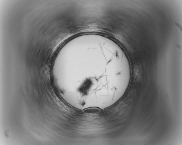 X0000101661356200807311426