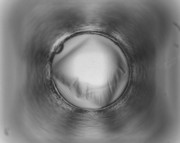 X0000101661358200807311426