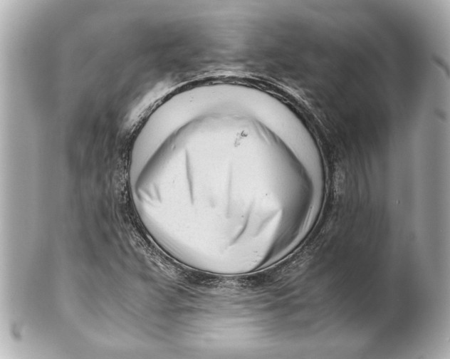 X0000101661359200807311426