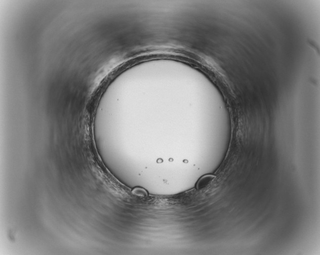 X0000101661360200807311426