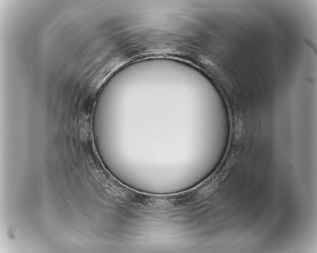 X0000101661361200807311426