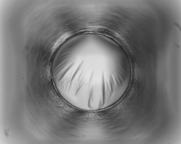 X0000101661362200807311426