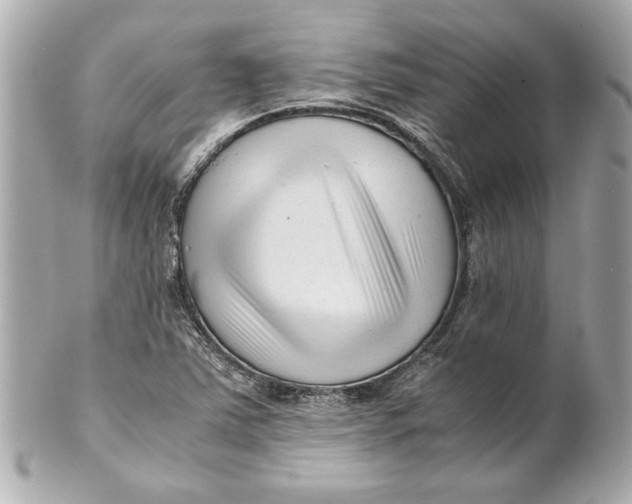 X0000101661363200807311426