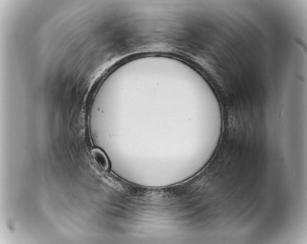 X0000101661364200807311426