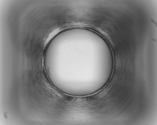 X0000101661365200807311426